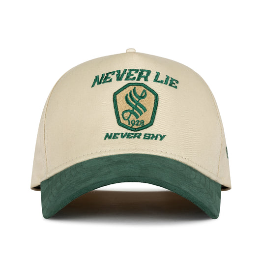 NEVER LIE NEVER SHY 1928 VINTAGE SUEDE BRIM HAT