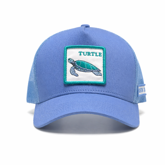 Blue cap with turtle patch on a white background